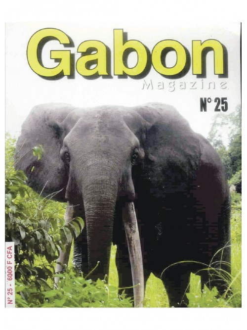 Gabon Magazine 01/02/2015