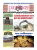 Gabon d'abord 08/09/2026